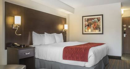 Quality Inn