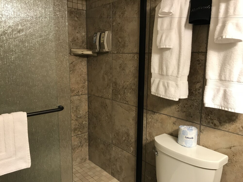 Bathroom, Dinosaur Inn & Suites