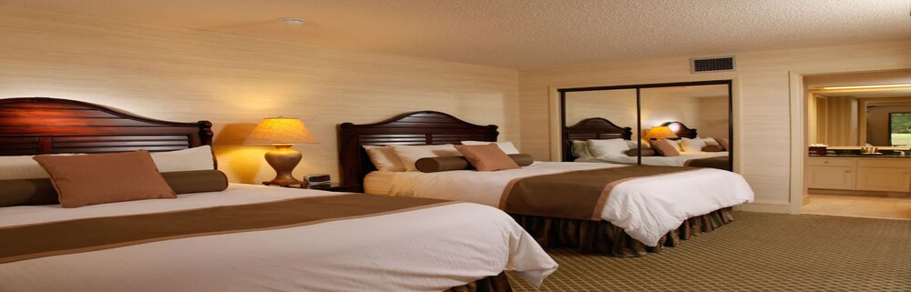 Saddlebrook Golf Resort and Spa