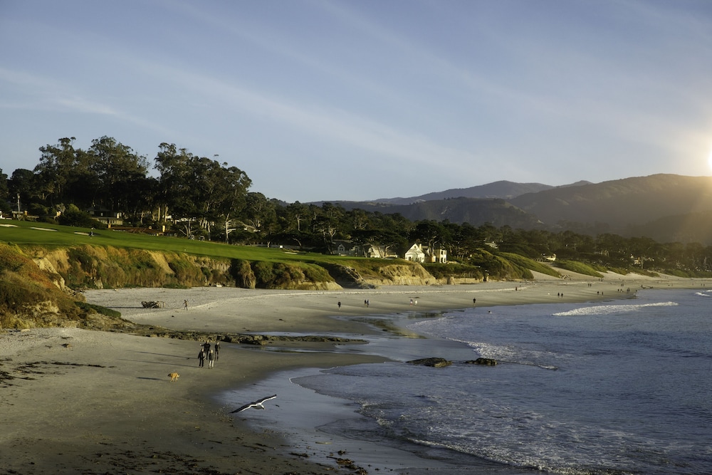 Beach, Hyatt Carmel Highlands, Overlooking Big Sur Coast