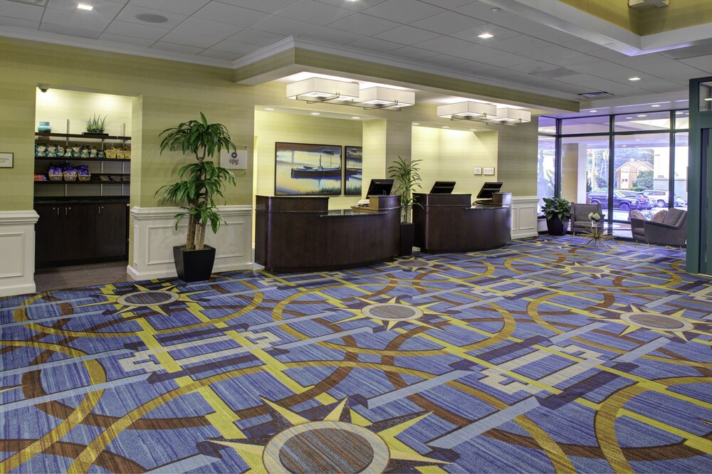 Sheraton Virginia Beach Oceanfront Hotel In Norfolk Beach Ocean View 1 57 All Photos