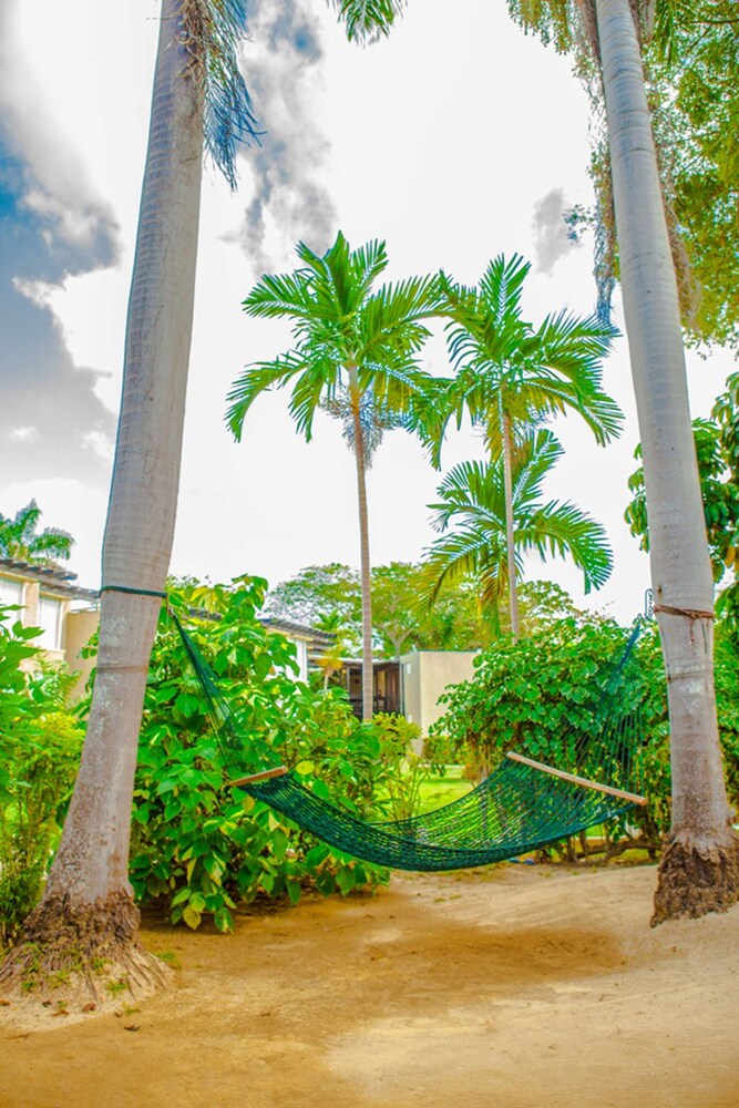 hedonic hotel hedonic hotel
