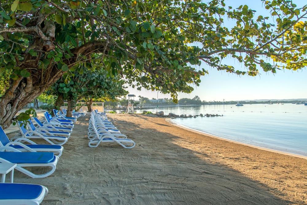 Hedonism II All Inclusive Resort 2019 Room Prices , Deals & Reviews Expedia