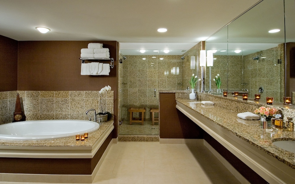 Bathroom shower, DoubleTree by Hilton Chicago - Arlington Heights