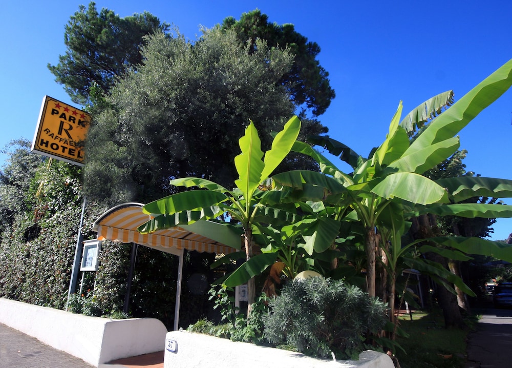 Raffaelli Park Hotel In Forte Dei Marmi Italy Expedia