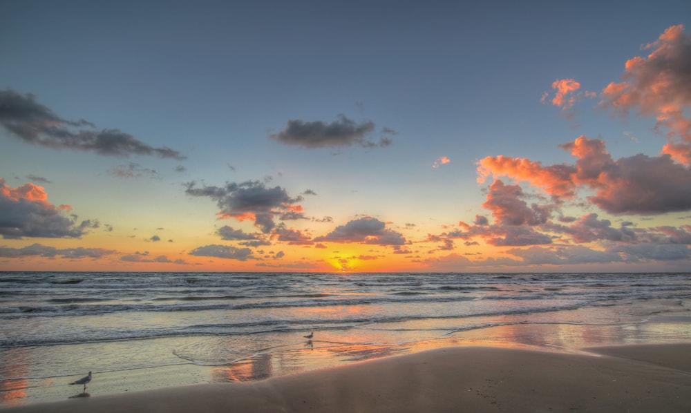 Beach Resort at South Padre Island, an IHG Hotel