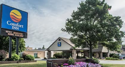 Comfort Inn London - Wellington Road