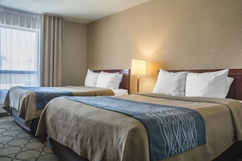 Comfort Inn London Wellington Road London Room Prices