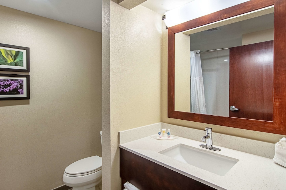 Bathroom, Comfort Suites Airport