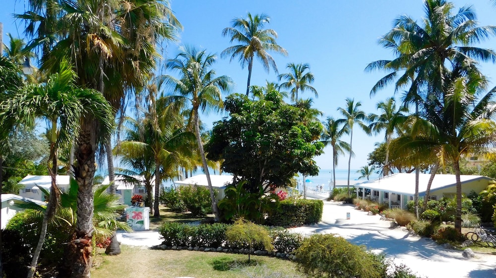 Garden, Pines & Palms Resort