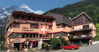 Hotel Flüelerhof