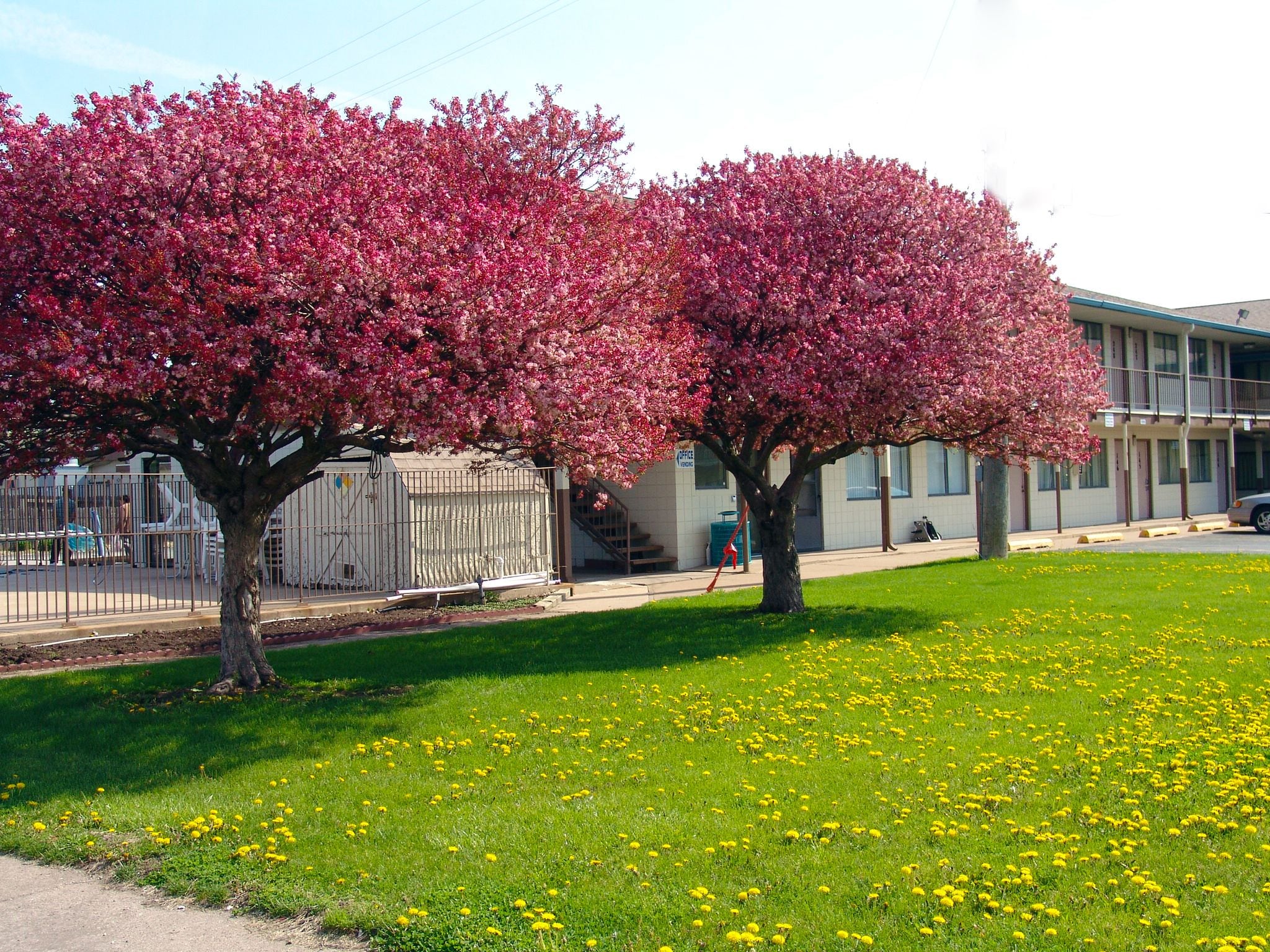 Quad City Inn in Davenport, United States