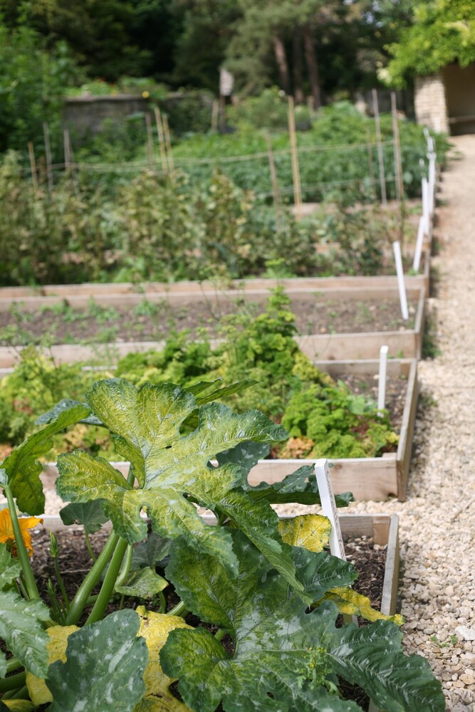 Garden, The Bath Priory Hotel and Spa