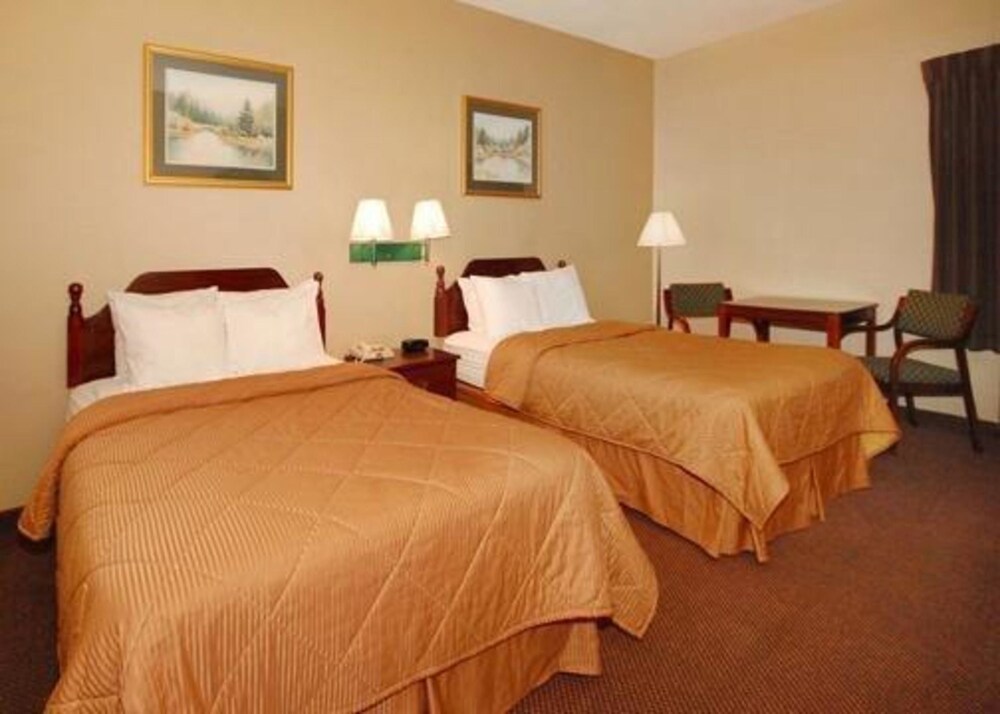 Room, Quality Inn & Suites Tarboro - Kingsboro