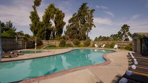 Piscina externa