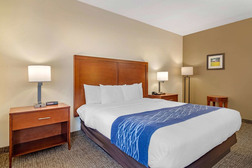 Room, Comfort Inn Douglasville