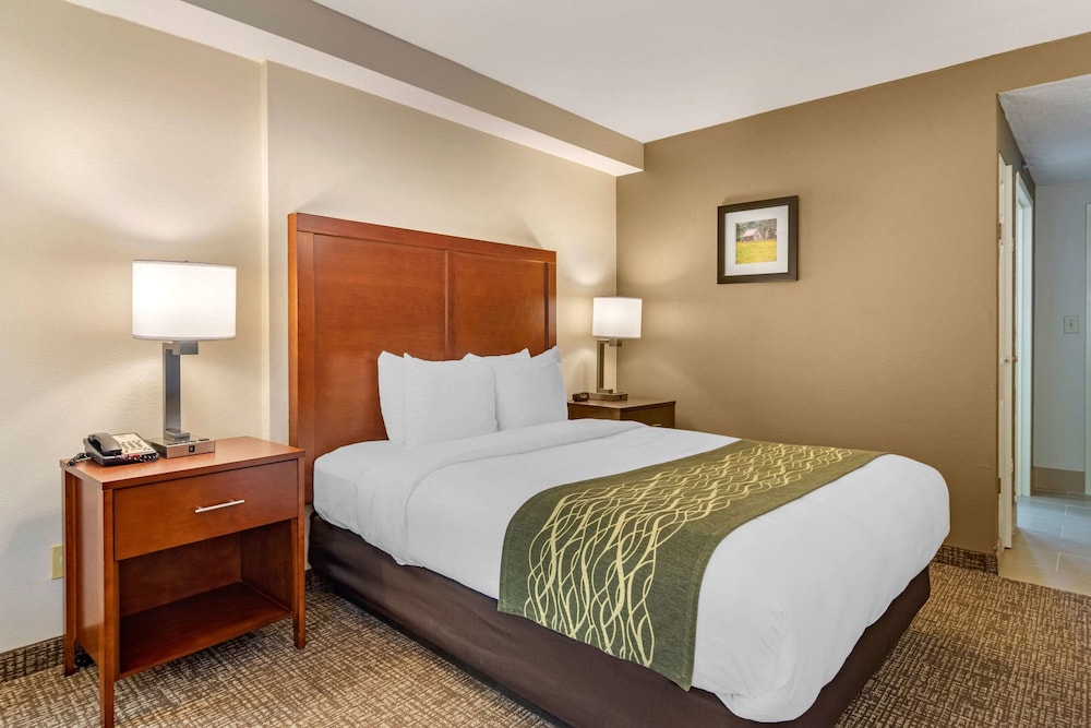 Room, Comfort Inn Douglasville