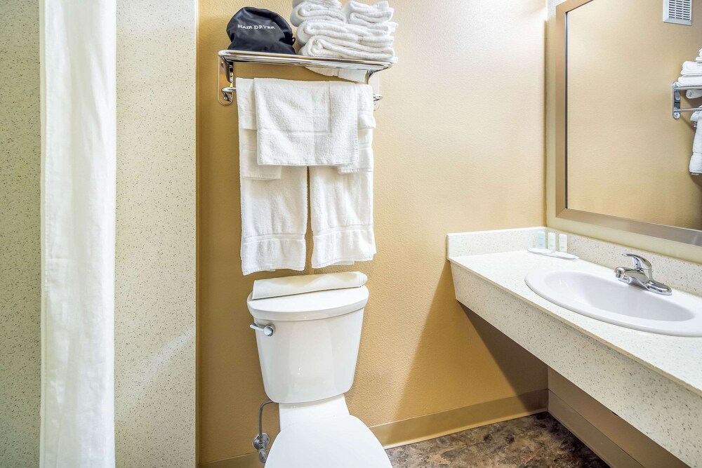 Bathroom, Clarion Hotel & Suites Fairbanks near Ft. Wainwright