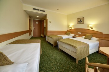 Erzsebet Hotel City Center Reviews Photos Rates - 