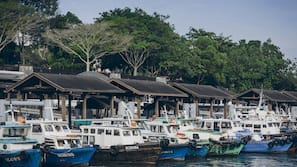 Gần bãi biển