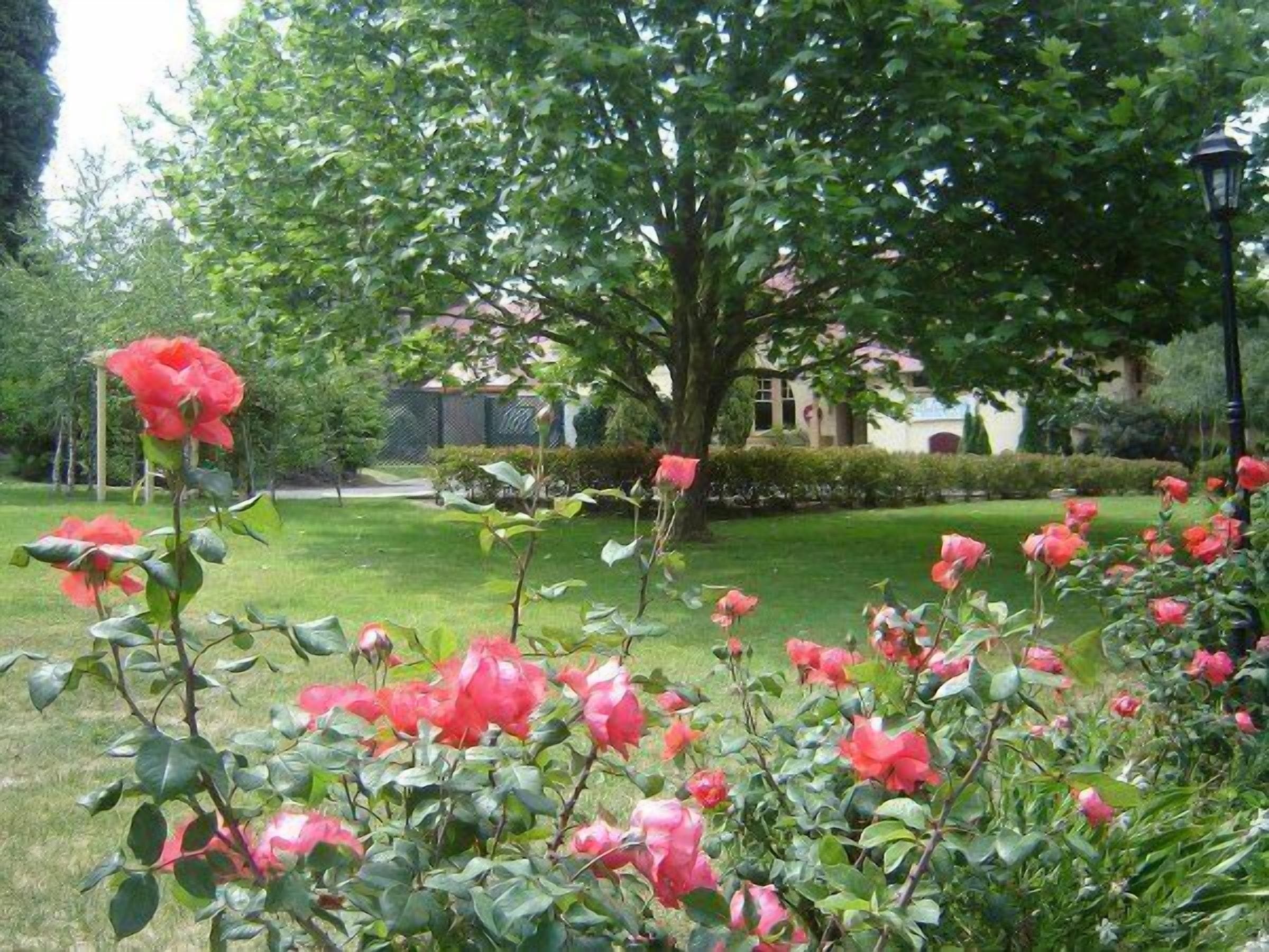 Best Western Cotswold Gardens