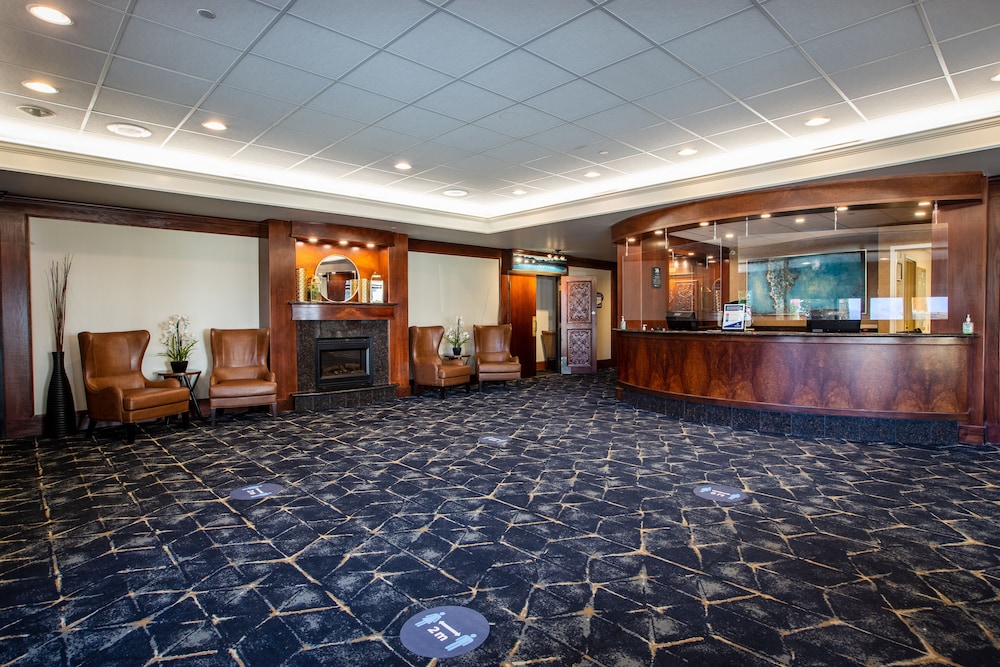 Top 8 PetFriendly In Jasper, Canada Trip101