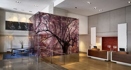 Park Hyatt Washington