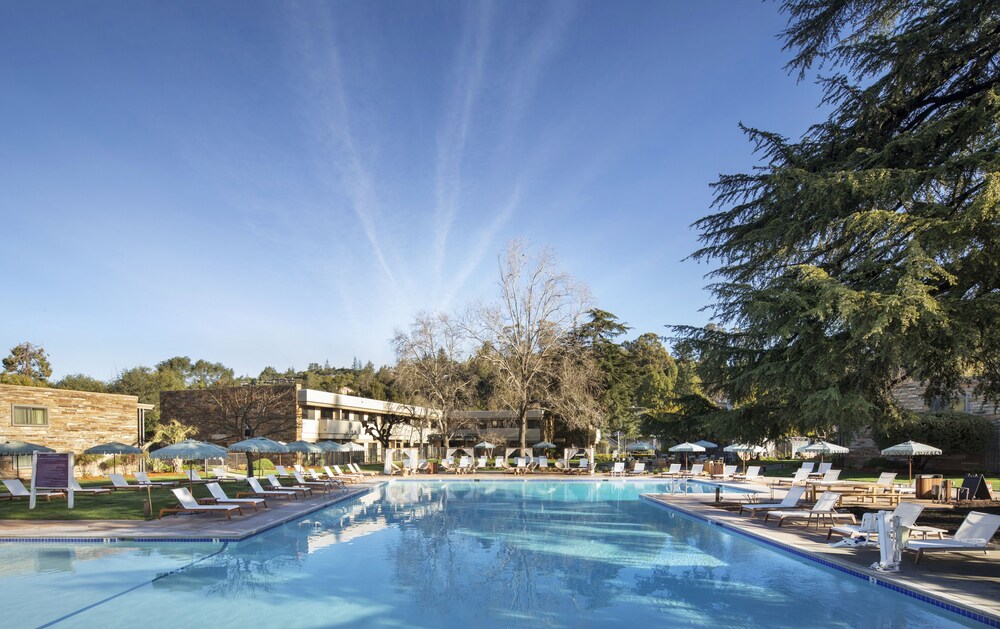 Pool, Flamingo Resort