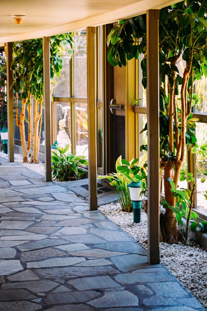 Hallway, Flamingo Resort