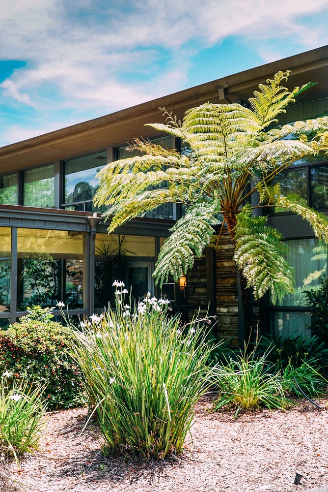 Garden, Flamingo Resort