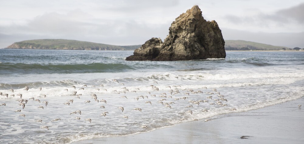 Beach, The Lodge at Bodega Bay