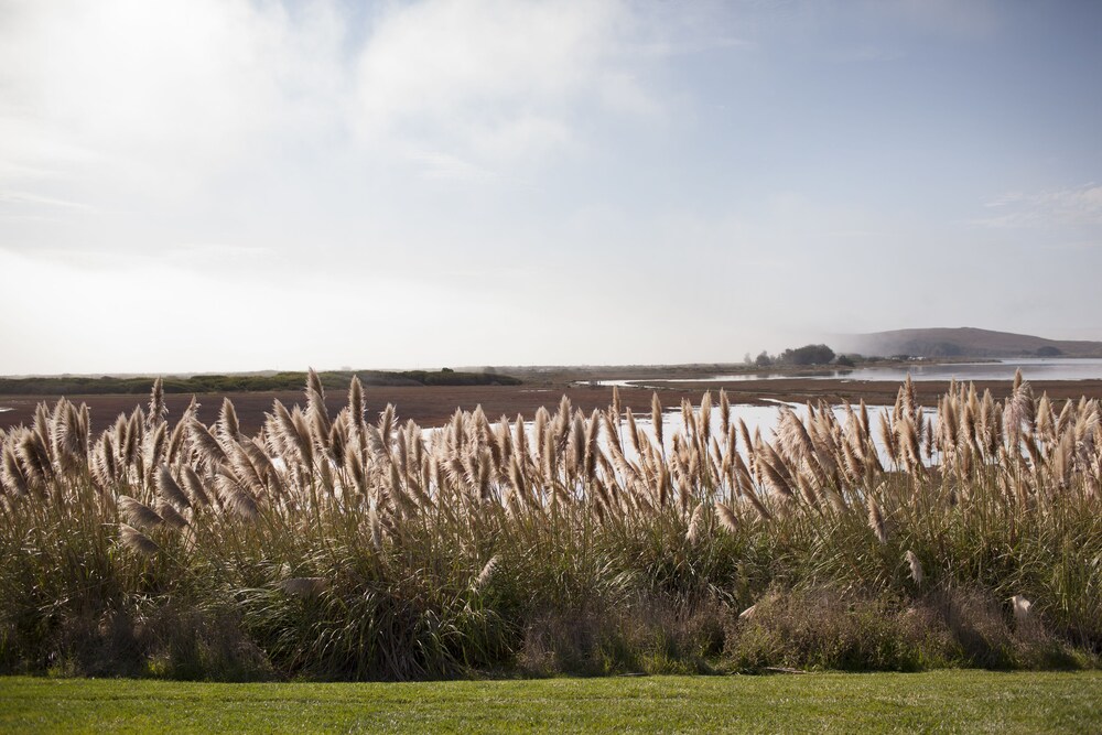 View from property, The Lodge at Bodega Bay