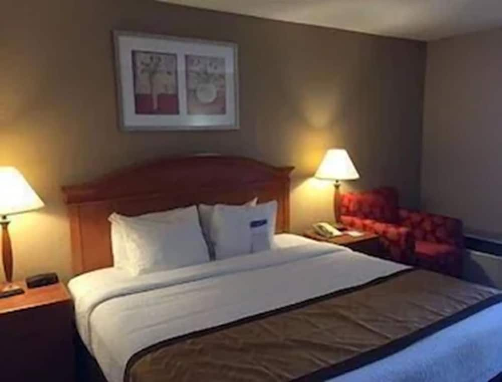 Room, Baymont by Wyndham Auburn Hills