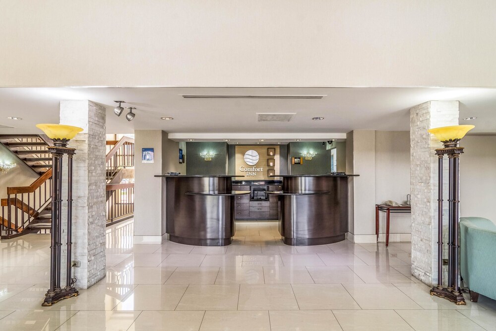 Lobby, Comfort Inn Convention Center - Chicago O'hare Airport