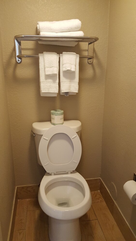 Rodeway Inn Tuscaloosa near University