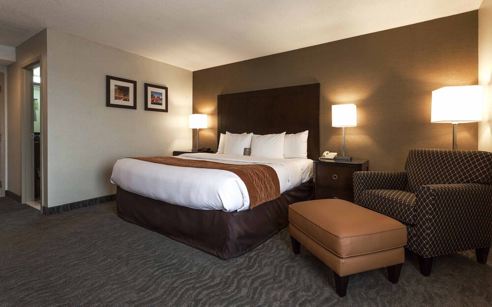 Best Western Chicago - Downers Grove