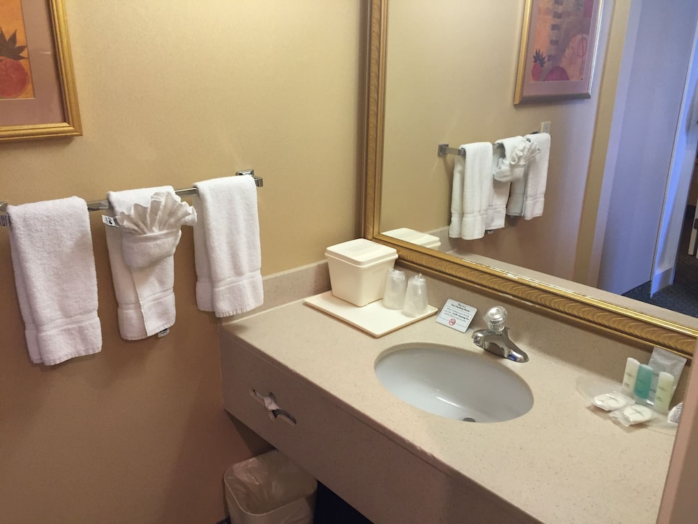 Bathroom sink, Comfort Suites Oakbrook Terrace near Oakbrook Center