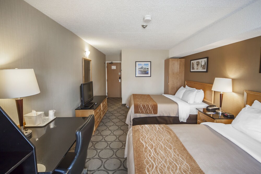 Comfort Inn Prince Albert Prince Albert Canada Comfort Inn Prince Albert: 2018 Pictures, Reviews, Prices & Deals