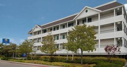 San Mateo SFO Airport Hotel