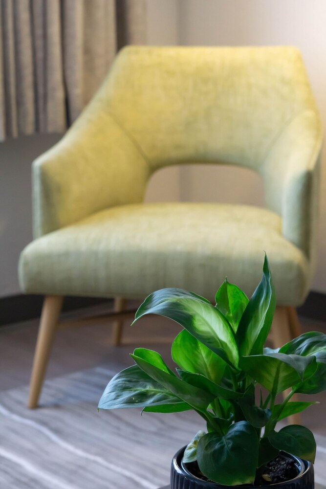 Oxford Suites Redding in Redding Best Rates & Deals on Orbitz