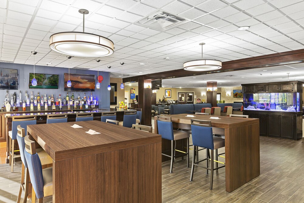 Bar (on property), Comfort Inn Syosset - Long Island