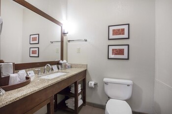 Book Comfort Inn Memphis Downtown Memphis Room Deals Hotwire