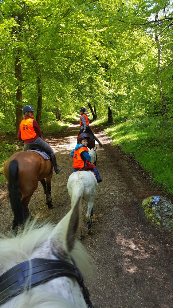 Horseback riding, The Schoolhouse Hotel