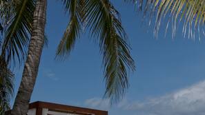 On the beach, white sand, scuba diving, snorkelling