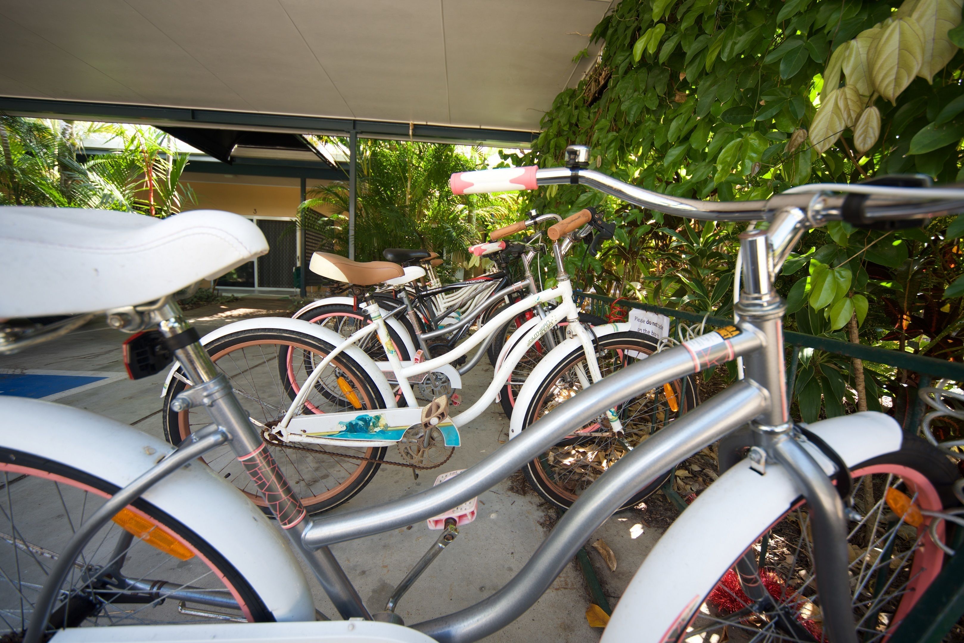 Lazy Lizard Motor Inn