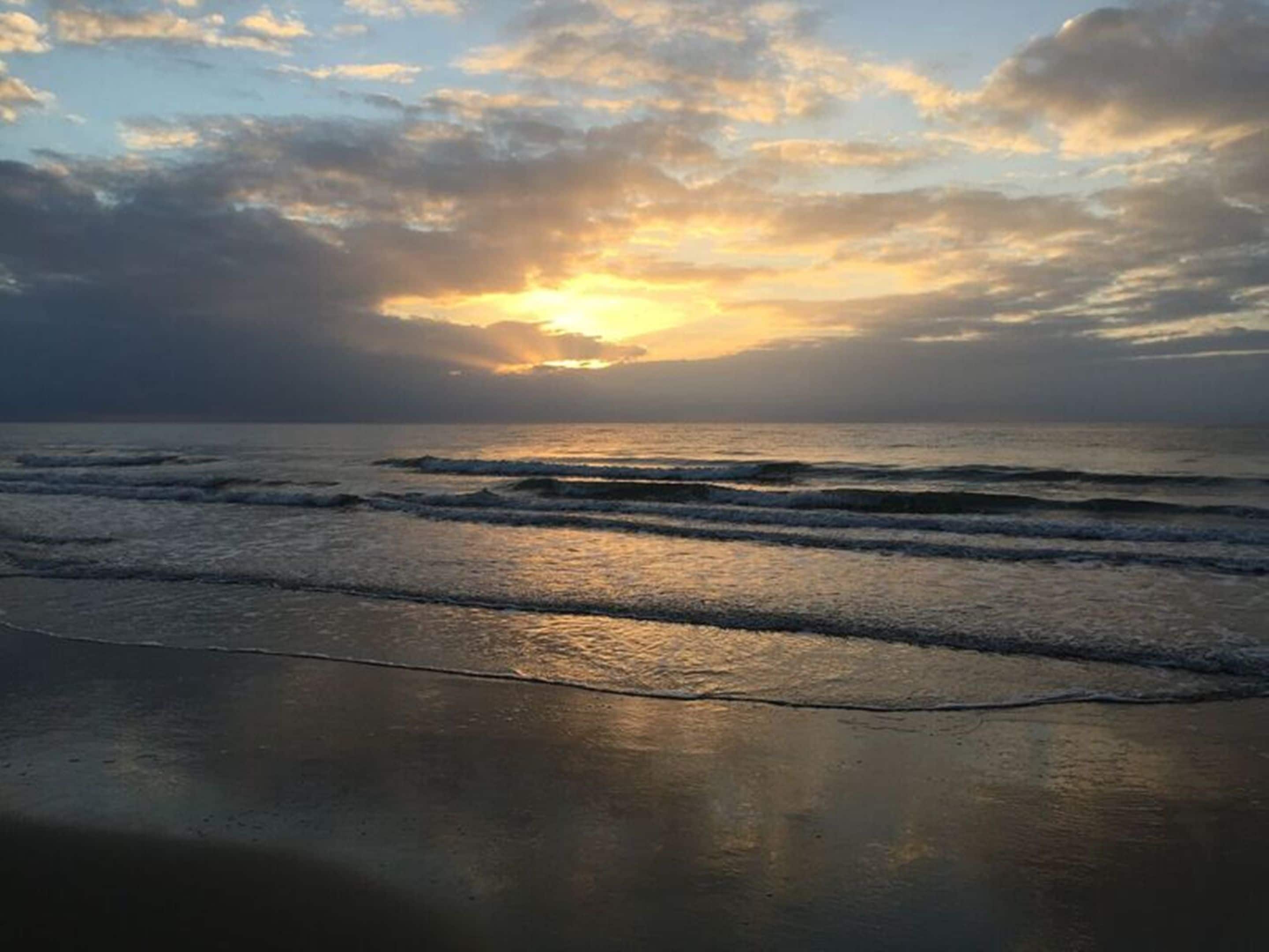 Lazy Lizard Motor Inn