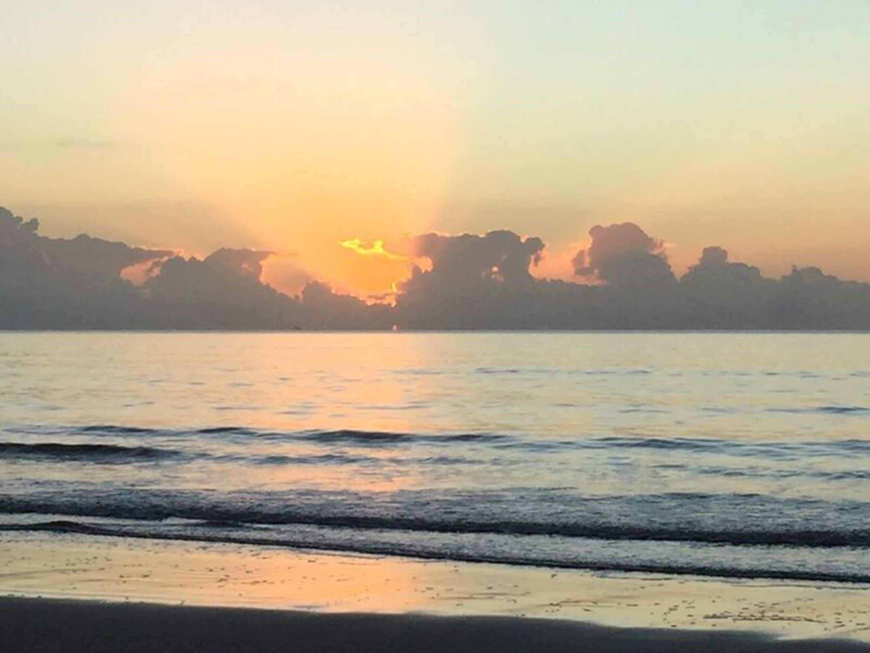 Lazy Lizard Motor Inn