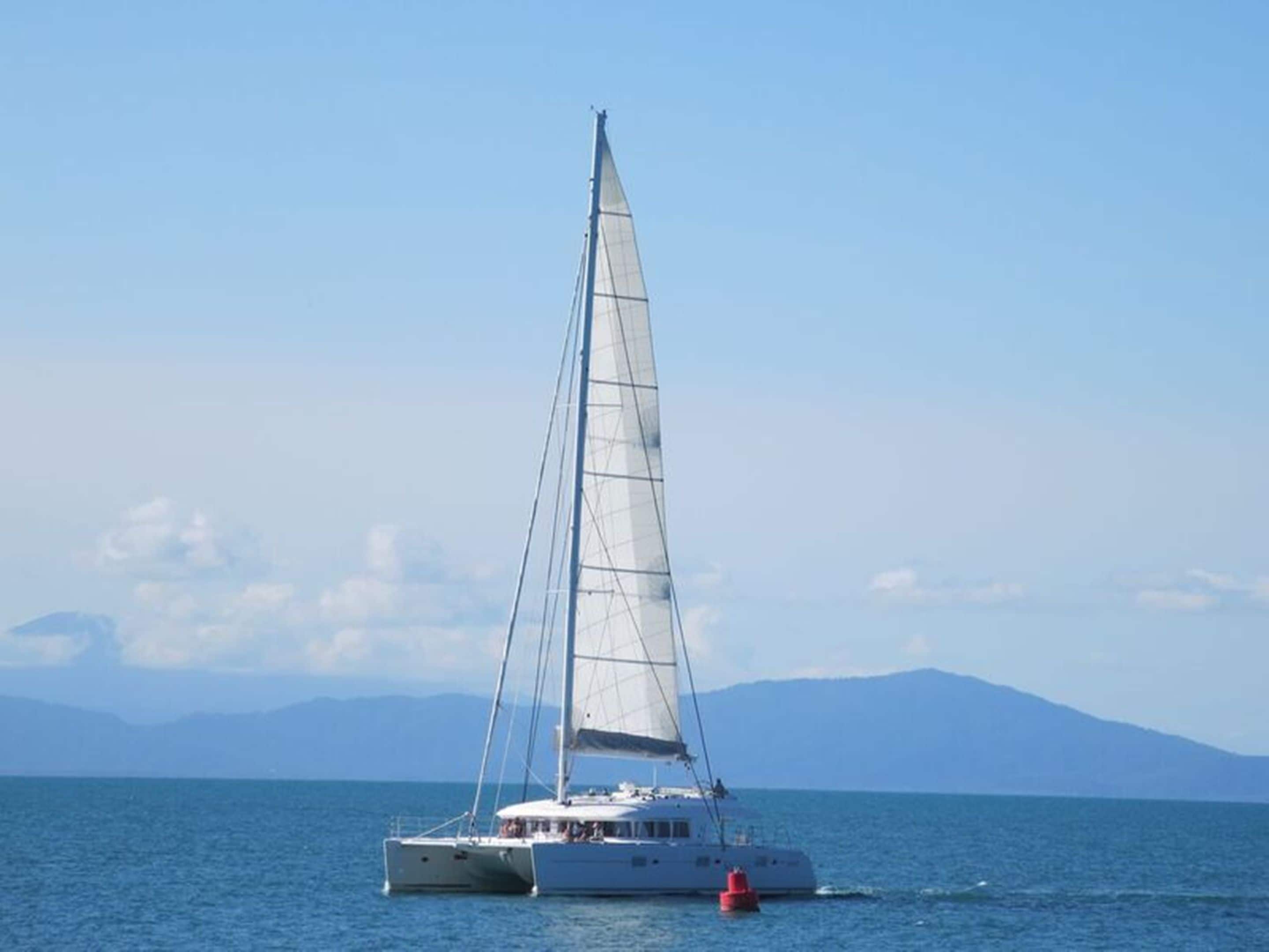 Lazy Lizard Motor Inn