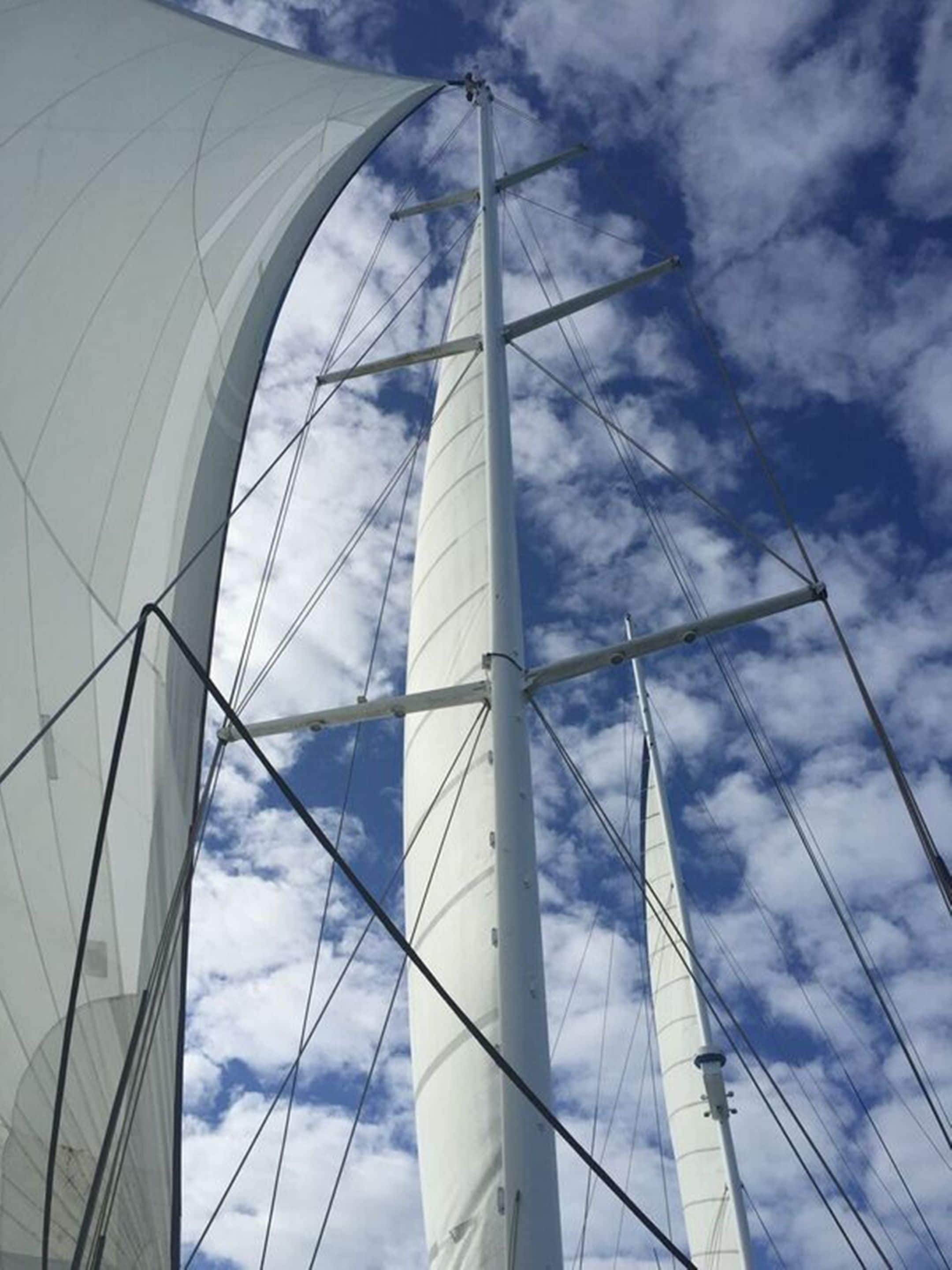 Lazy Lizard Motor Inn