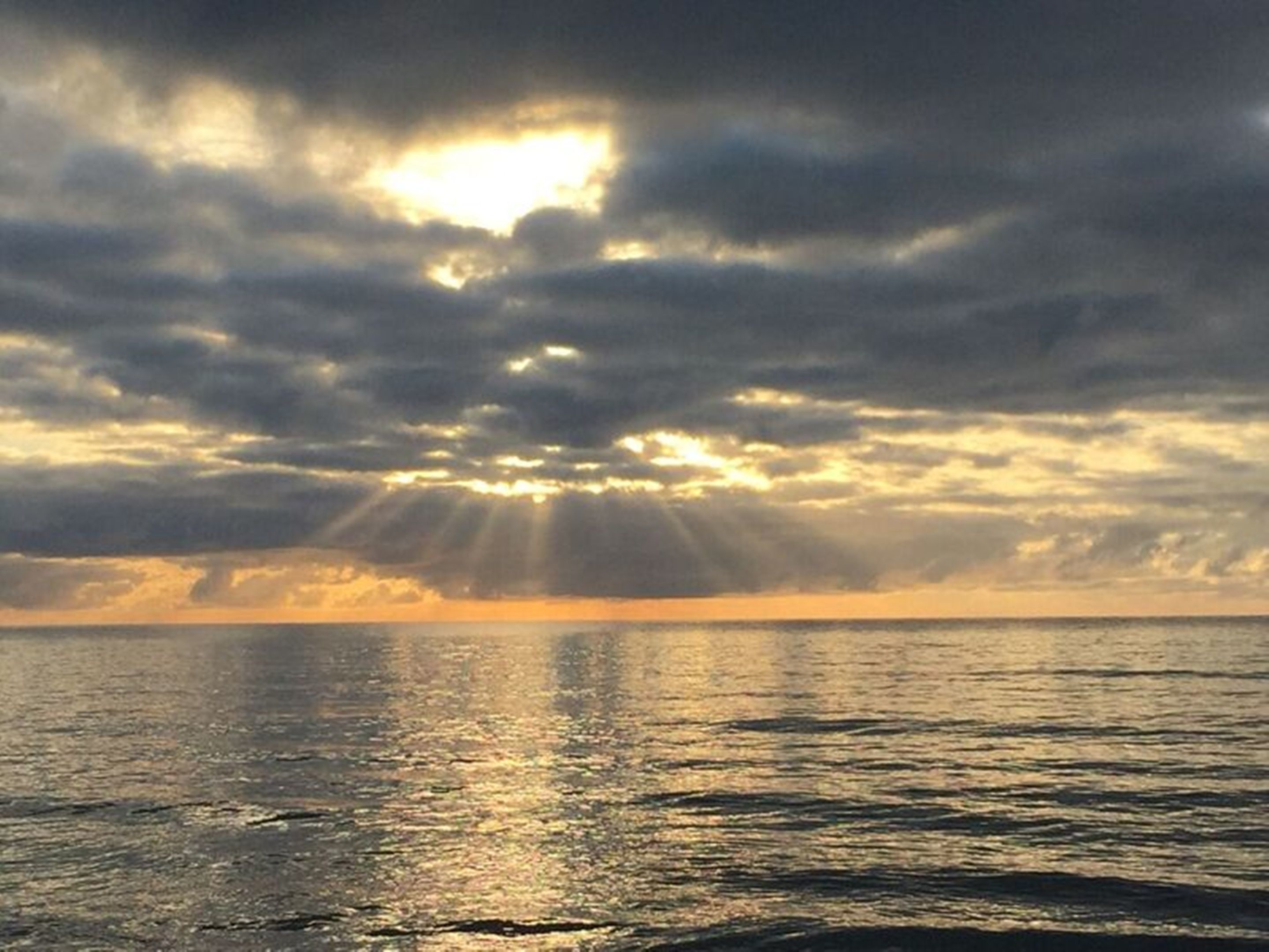 Lazy Lizard Motor Inn